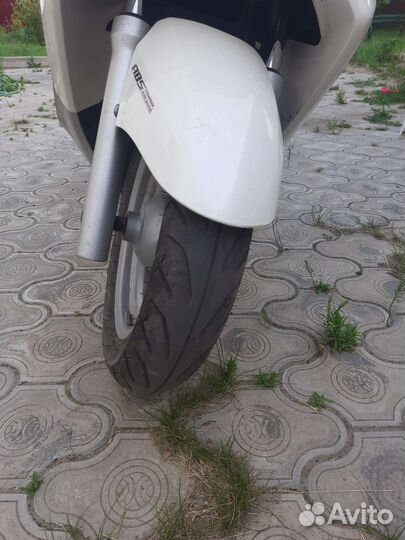 Максискутер