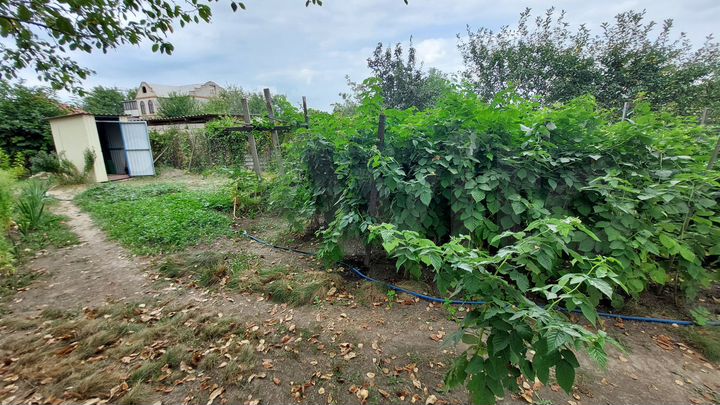 Дом 30 м² на участке 20 сот.