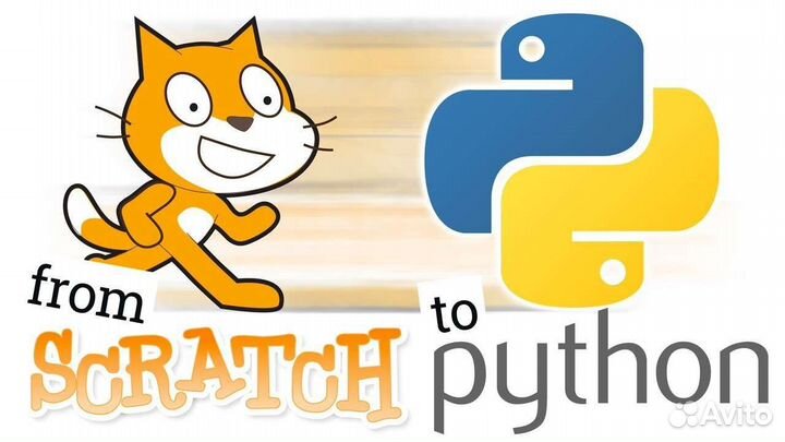 Репетитор Python Scratch егэ огэ инф-ка физ-мат