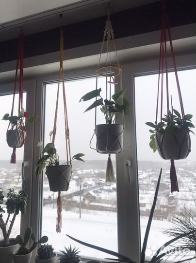 Подвесы для растений