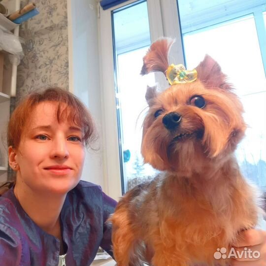 Стрижка собак. Груминг. Экспресс - линька. Мытье