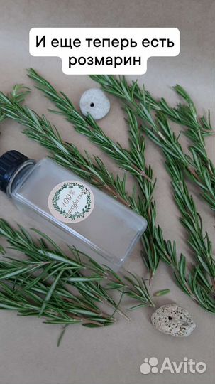 Гидролат сбор 2022-2023