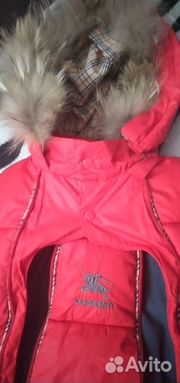 Зимний комбинезон