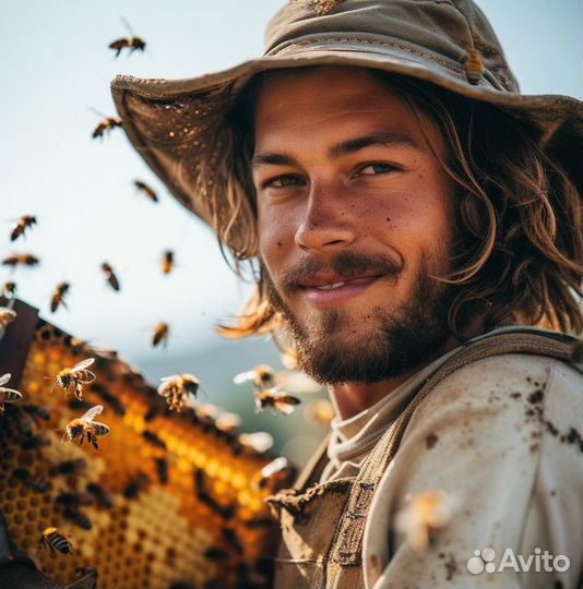 Мёд натуральный с Алтая опт. min 16kg