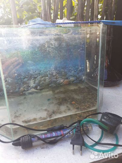 Аквариум