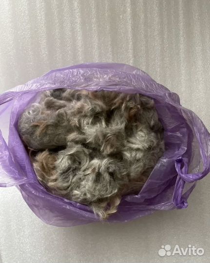 Собачья шерсть 1 кг