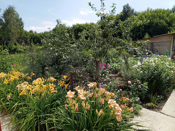 Дом 140 м² на участке 22 сот.