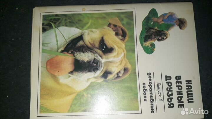 Набор открыток 