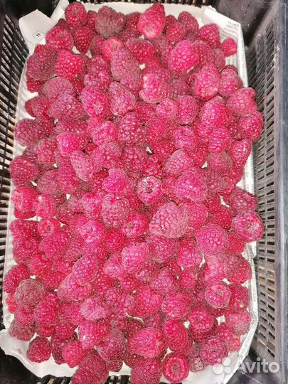 Малина самосбор