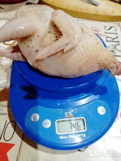 Инкубационное яйцо техасского перепела