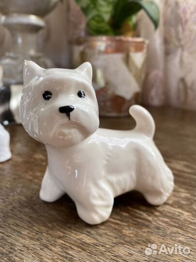 Собака Фарфор