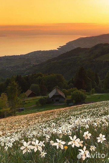 Монтаж видеороликов слайд шоу