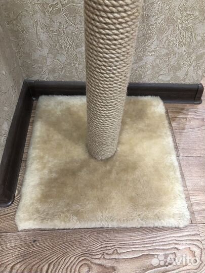 Когтеточка