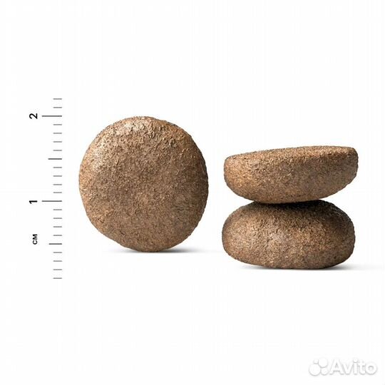 Корм Karmy для собак и кошек