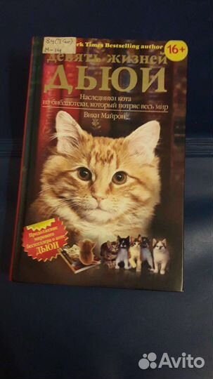 Книга Дьюи кот из библиотеки