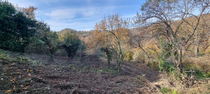 Участок 5,8 сот. (СНТ, ДНП)