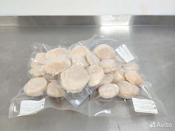 Морской гребешок