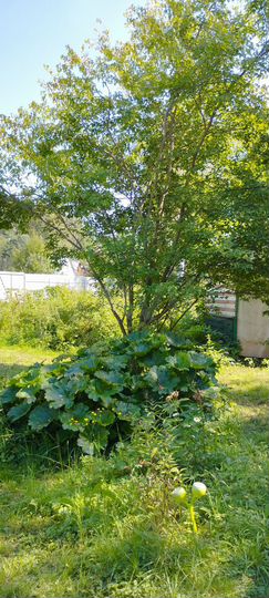 Дача 57 м² на участке 6 сот.