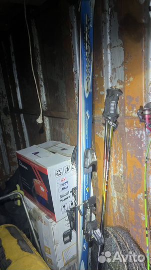 Горные лыжи dynastar