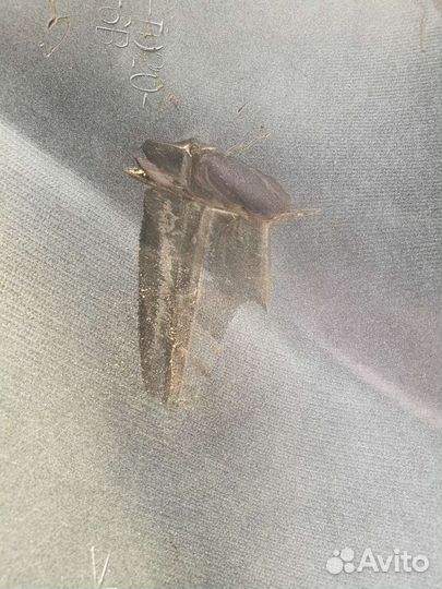 Передний бампер Toyota Land Cruiser Prado 150