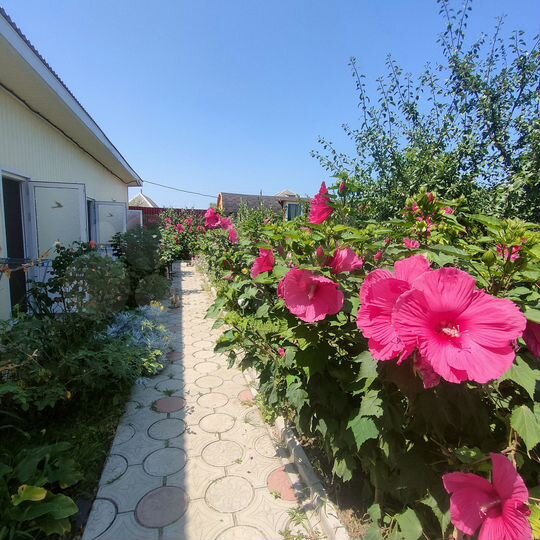 Комната 20 м², 1/2 эт.