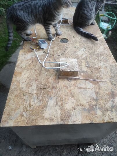 Брудер для цыплят бу