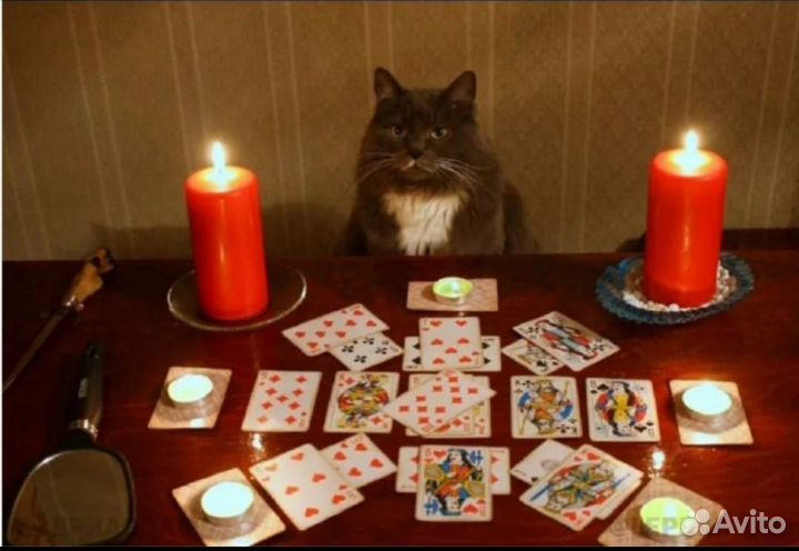 Гадание на игральных картах, обучение