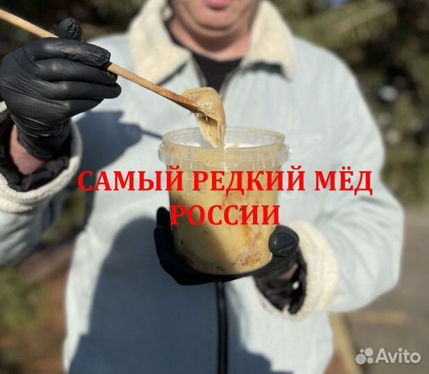 Мед диких пчел