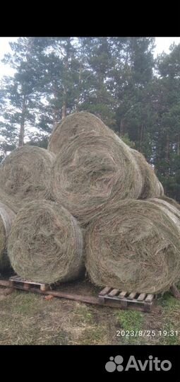 Сено в рулонах и тюках.Солома пшеничная в тюках