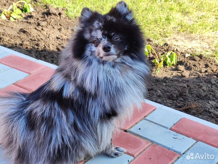 Вязка кабель