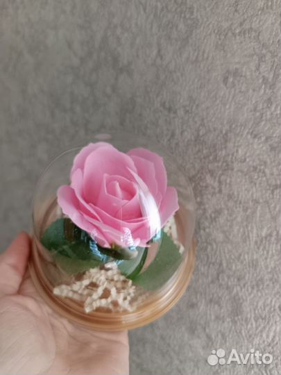 Роза в куполе