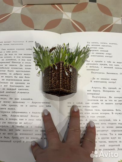 Двенадцать месяцев 3D книга спектакль