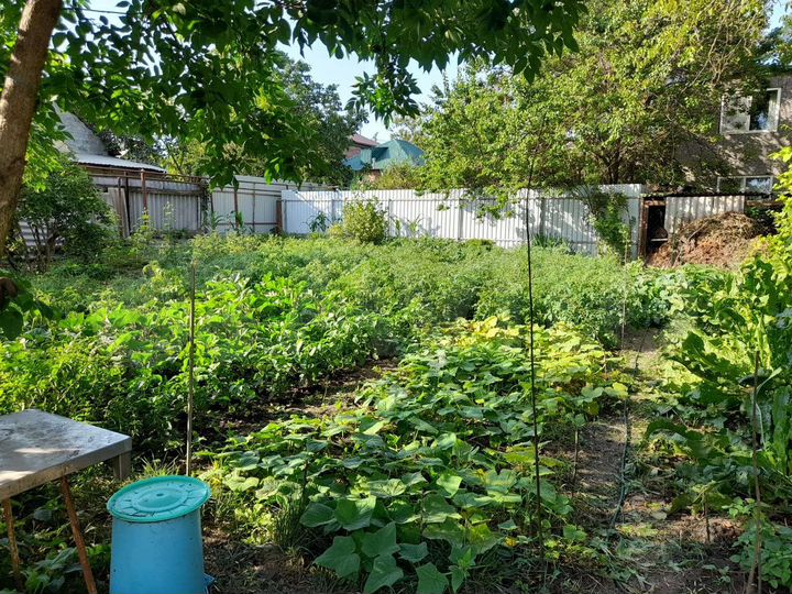 Участок 7,3 сот. (ИЖС)