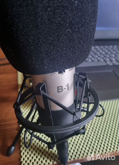 Behringer b1 xlr