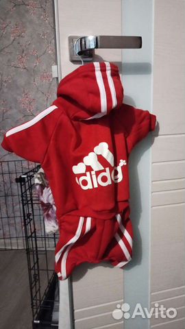 Комбинезон для маленькой собаки