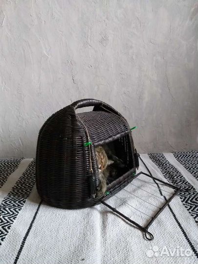 Корзина домик для котят