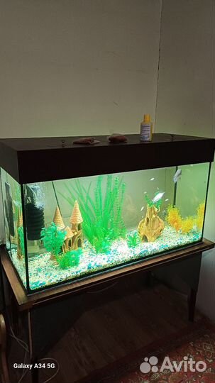 Аквариум с рыбками