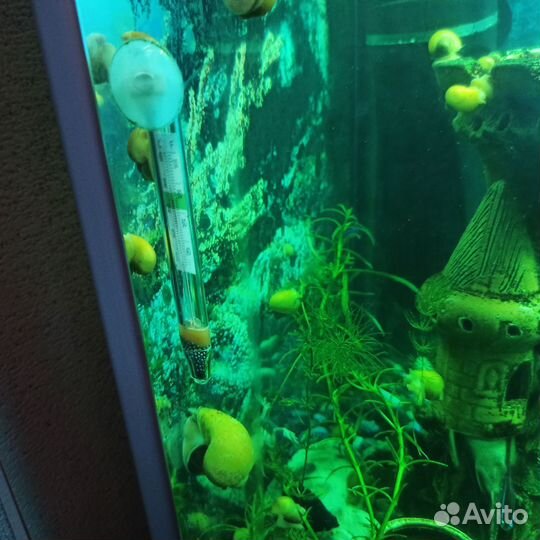 Украшение для аквариума