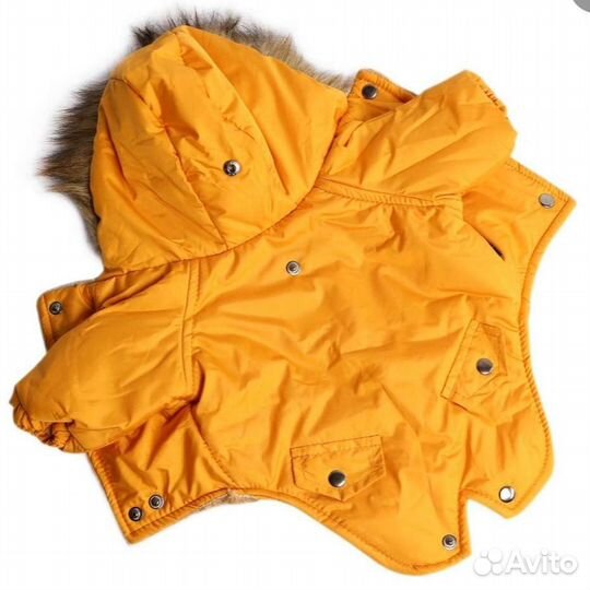 Зимняя одежда для собак мелких пород