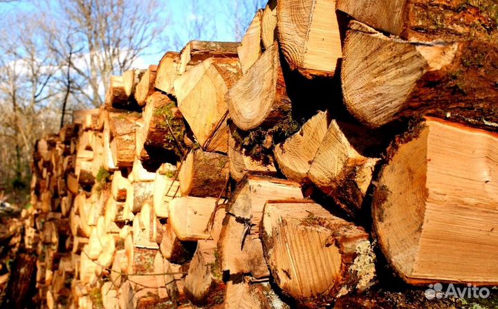 Лучшие дрова