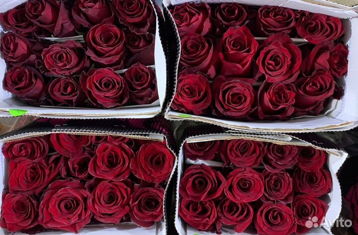 Гортензия и другие срезанные цветы оптом