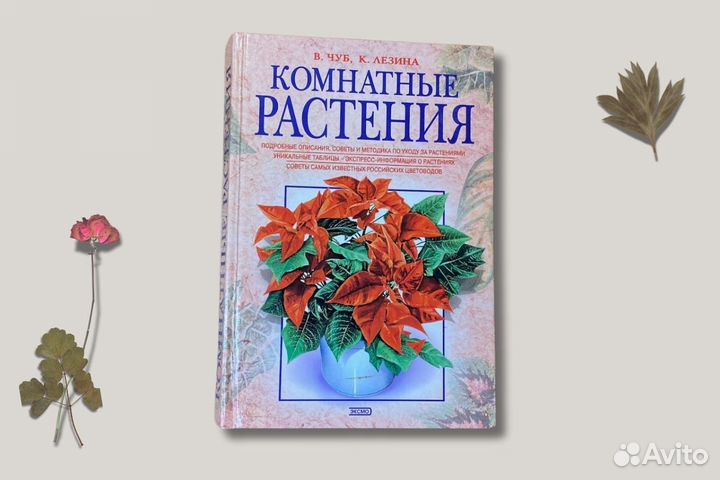 Комнатные растения