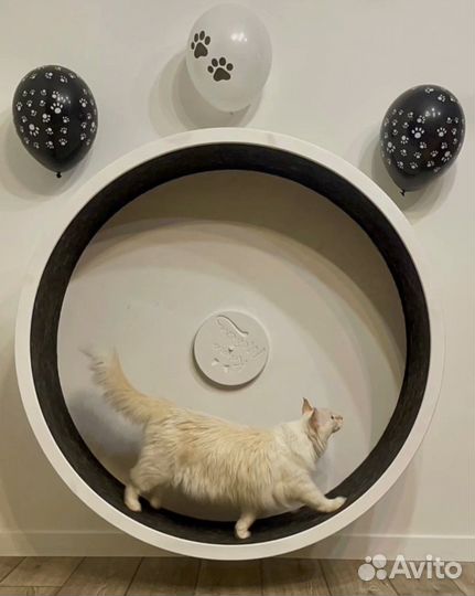 Беговое колесо