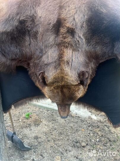 Шкура медведя имитация