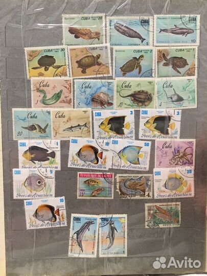 Почтовые марки