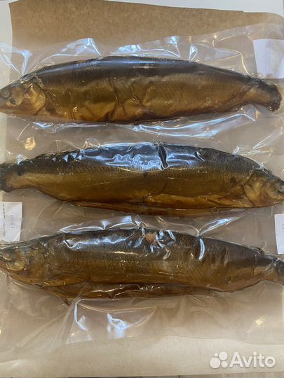 Омуль/муксун холодного копчения из Сибири