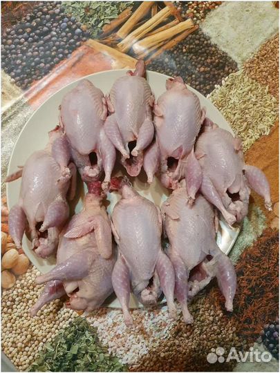 Мясо перепелки