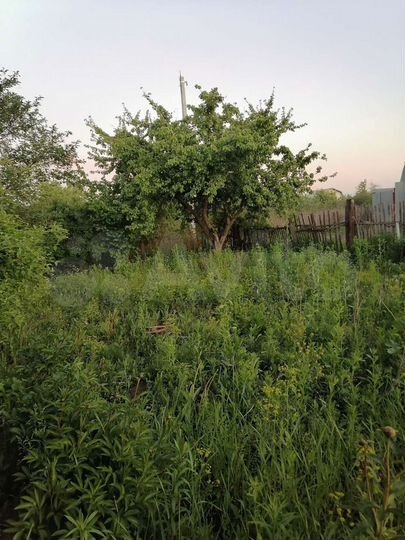 Дача 20 м² на участке 5 сот.