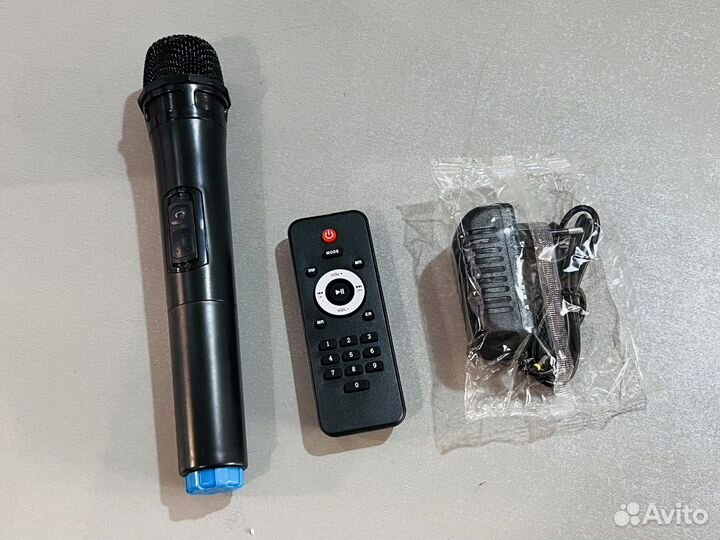 Блютуз колонка караоке NDR-1088