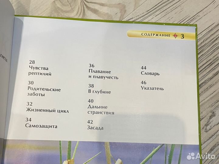 Детские книги энциклопедии